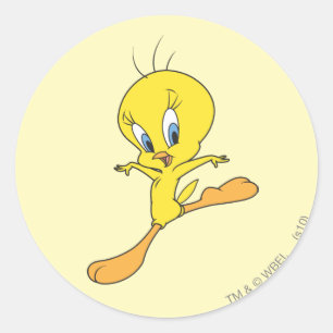Adesivo Redondo Aterrissagem TWEETY™