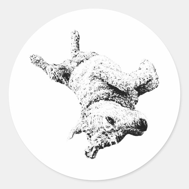 Adesivo Redondo Atitude de Belly Up (Frente)