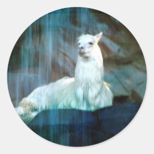 Adesivo Redondo Atrás das quedas