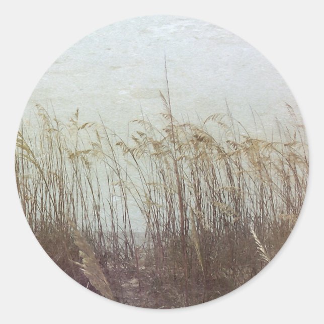 Adesivo Redondo Através das Dunas II (Frente)