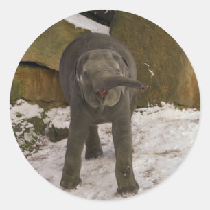Adesivo Redondo Atrompetando Elefante Para Bebê Na Neve