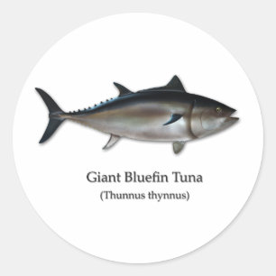 Adesivo Redondo Atum de Bluefin gigante