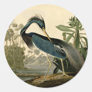 Adesivo Redondo Audubon Garça da Louisiana Pássaros América Arte