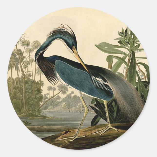 Adesivo Redondo Audubon Louisiana Heron Birds América Art (Frente)