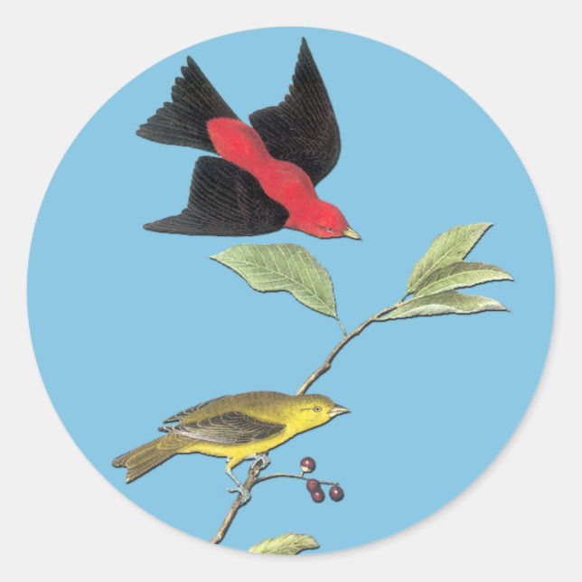 Adesivo Redondo Audubon Scarlet Tanager Bird Art Stickers (Frente)