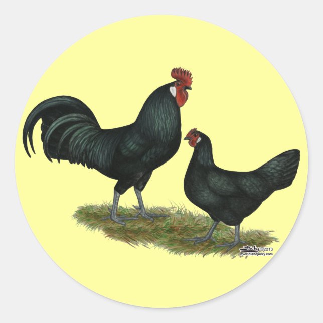 Adesivo Redondo Augsburger Chickens (Frente)