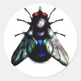 Adesivo Redondo Autocolante