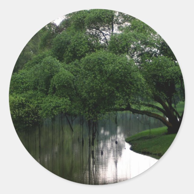 Adesivo Redondo Autocolante (Frente)