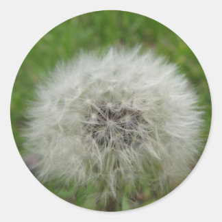 Adesivo Redondo autocolante