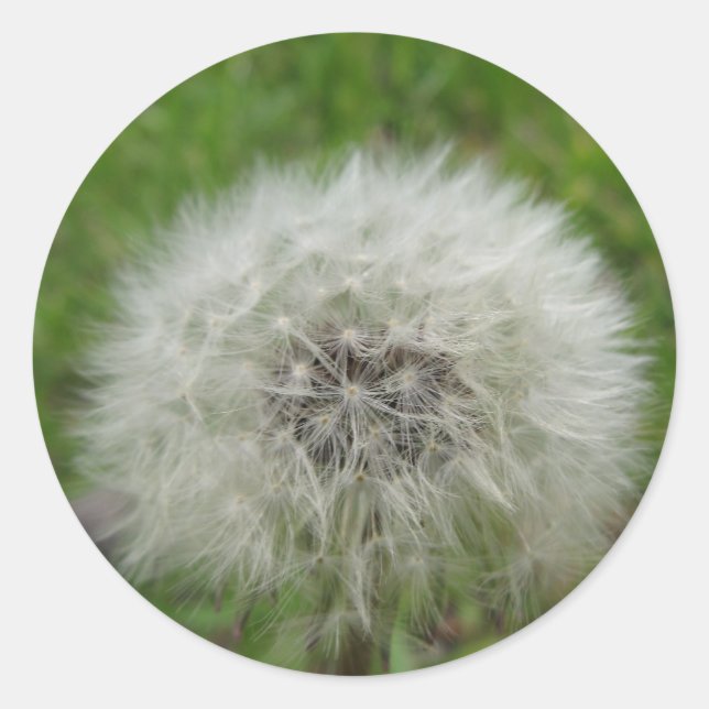 Adesivo Redondo autocolante (Frente)