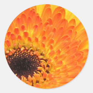 Adesivo Redondo Autocolante amarelo