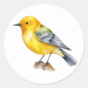 Adesivo Redondo Autocolante protônico