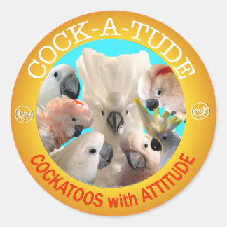 Adesivo Redondo Autocolantes