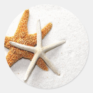 Adesivo Redondo Autocolantes