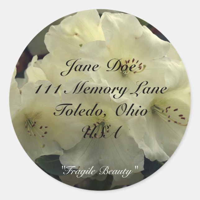 Adesivo Redondo Autocolantes (Frente)