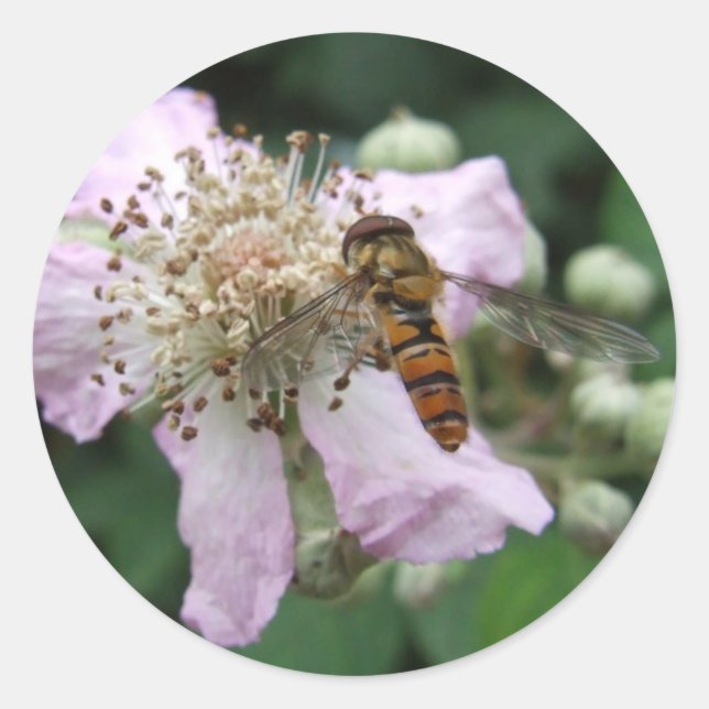 Adesivo Redondo Autocolantes (Frente)