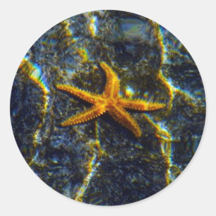 Adesivo Redondo Autocolantes