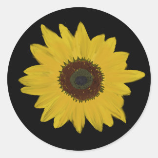 Adesivo Redondo Autocolantes