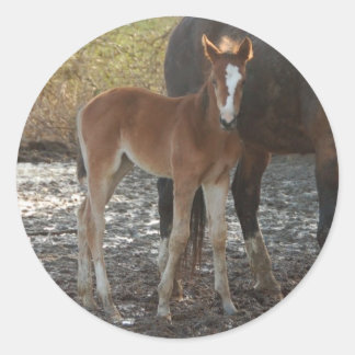 Adesivo Redondo Autocolantes