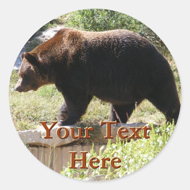 Adesivo Redondo Autocolantes (Frente)