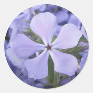 Adesivo Redondo Autocolantes - Azul Phlox II