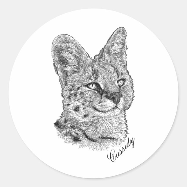 Adesivo Redondo Autocolantes - Cassidy (Frente)