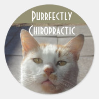Autocolantes Chiropractic