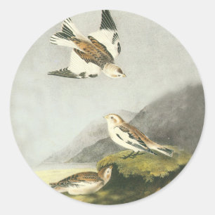 Adesivo Redondo Autocolantes de areia Audubon