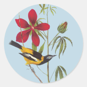 Adesivo Redondo Autocolantes de Arte de Aves