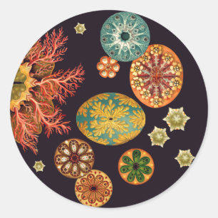 Adesivo Redondo Autocolantes de Escamas-do-mar