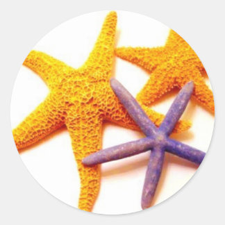 Adesivo Redondo Autocolantes de Estrelas de Verão