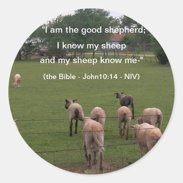 Adesivo Redondo Autocolantes/Ovinos (Frente)