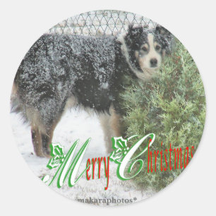 Adesivo Redondo AutocolantesMC