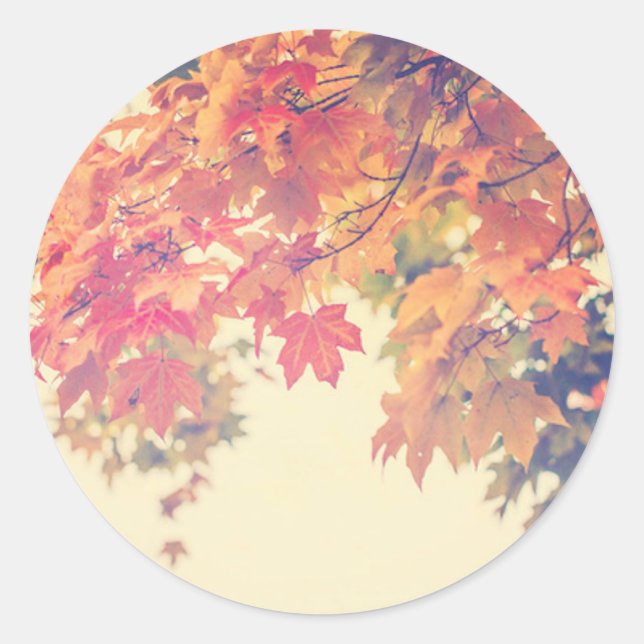 Adesivo Redondo Autumn Breeze (Frente)