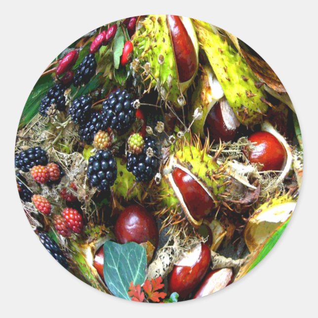 Adesivo Redondo AUTUMN DELIGICA ~ Envelope Seletor/adesivos (Frente)