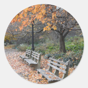 Adesivo Redondo Autumn Leaves Riverside Park Nova Iorque NYC