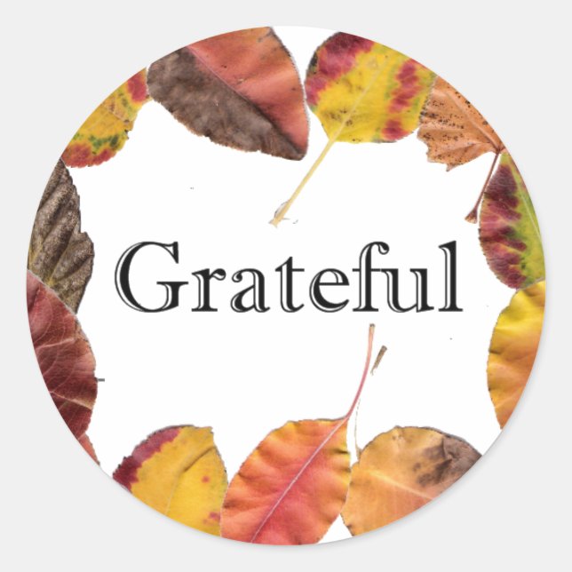 Adesivo Redondo Autumn Leaves Surround Grateful (Frente)
