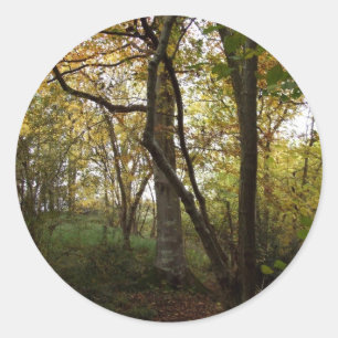 Adesivo Redondo Autumn Woods Sticker