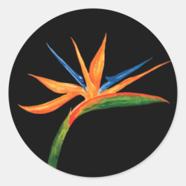 Adesivo Redondo Ave Aquarela do Paraíso