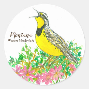Adesivo Redondo Ave de Montana Western Meadowlark Songbird
