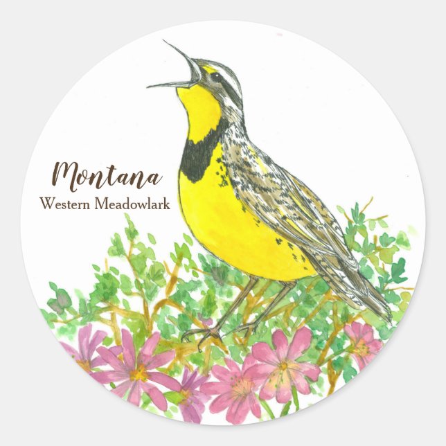 Adesivo Redondo Ave de Montana Western Meadowlark Songbird (Frente)