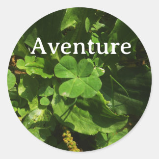 Adesivo Redondo Aventure Trèfle à quatre feuilles