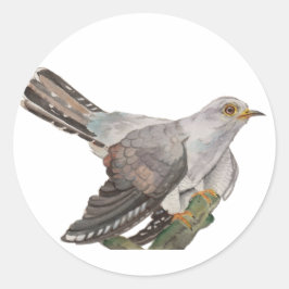 Adesivo Redondo Aves aquáticas