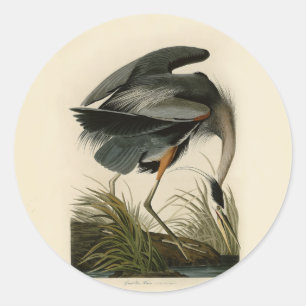 Adesivo Redondo Aves Azuis-Heronárias do Excelente Audubon