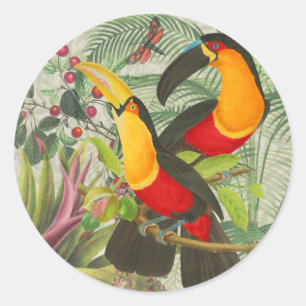 Adesivo Redondo Aves Tropicais Vibrantes Turianos Arte Selva Exóti