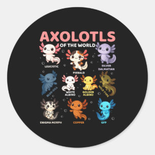 Adesivo Redondo Axolotes Kawaii Fofos Do Mundo Tipos De Axolote En