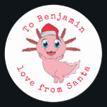 Adesivo Redondo Axolotl Childs Name Love from Papai noel Christmas<br><div class="desc">Axolotl Childs Nomeia Amor Do Natal Dos Papais noeis. Personalize o texto de acordo com as suas necessidades.</div>