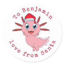 Axolotl Childs Name Love from Papai noel Christmas