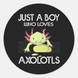 Adesivo Redondo Axolotl Gift Anime Japonês Apenas Um Menino Que Am
