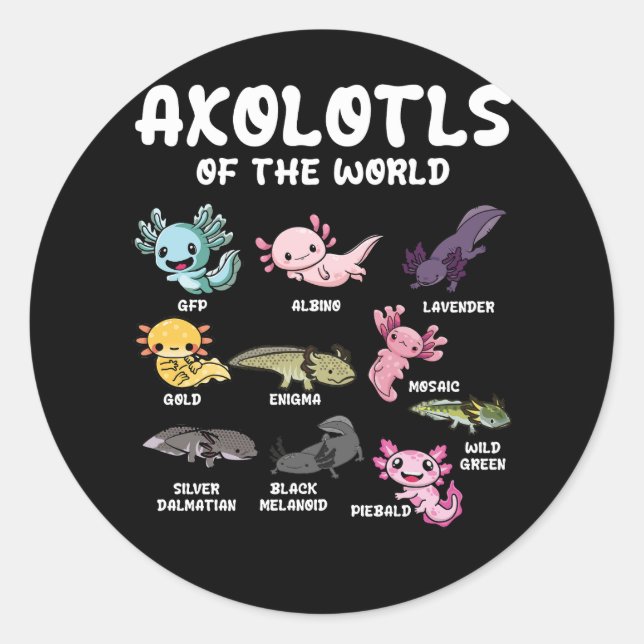 Adesivo Redondo Axolotls Do Lover Kawaii Axolotl Da Cuta Mundial O (Frente)